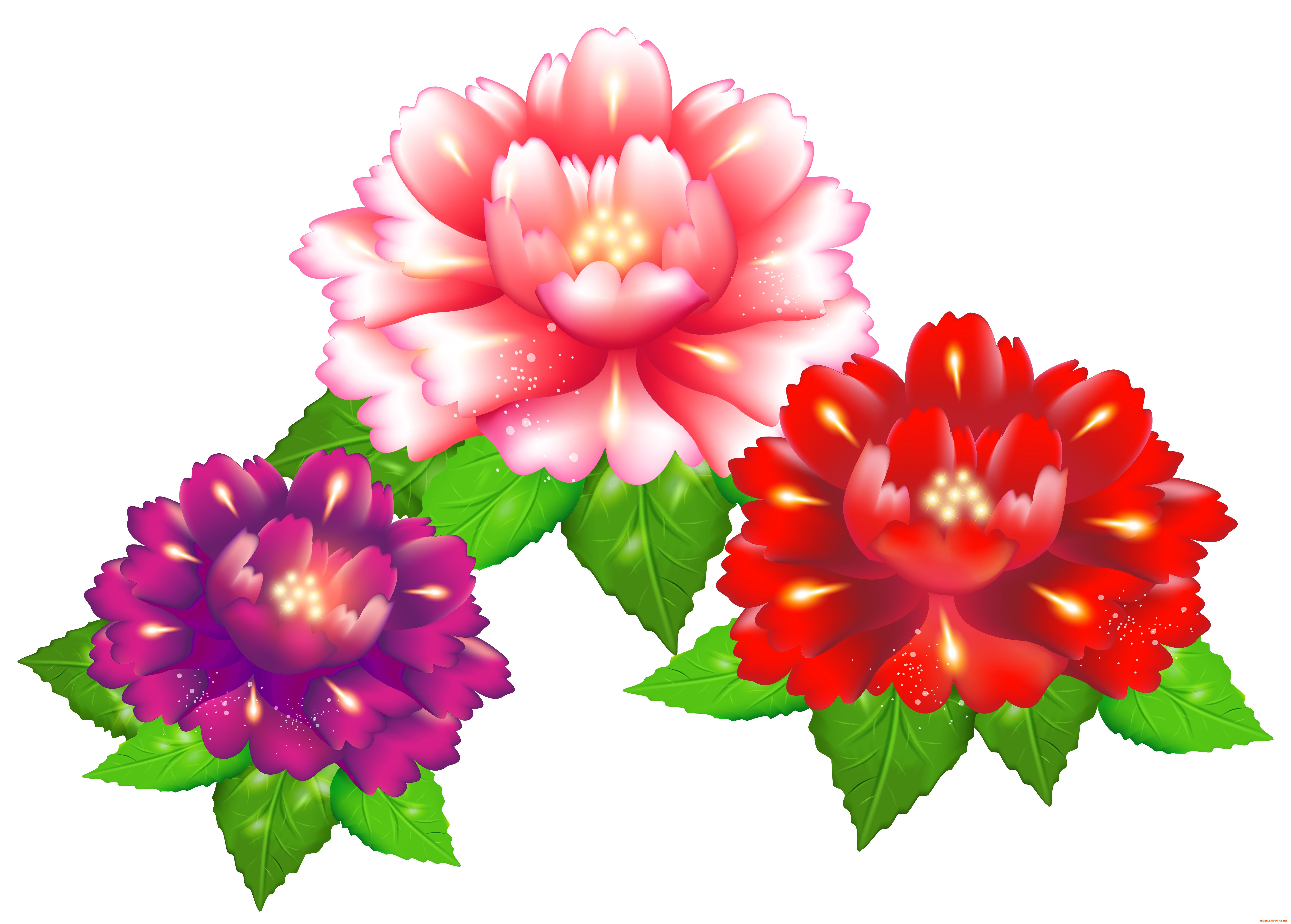  ,  , flowers, , , 
